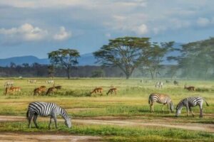 Er alle arter vigtige for at bevare biodiversiteten?