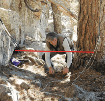 mand opsætter en rebfælde til at fange vilde dyr