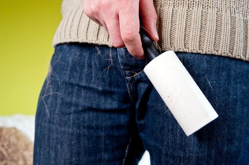 Brug en fnugrulle til at fjerne kæledyrshår fra dit tøj