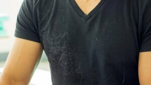 Tips til at slippe af med hundehår i hjemmet