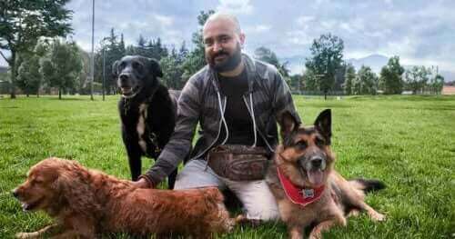 Det er muligt at genopdrage en aggressiv hund