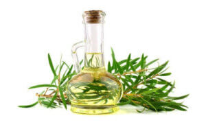 Fordelene ved tetræolie til hunde