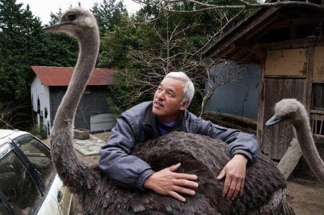 Mand, der holder om struds