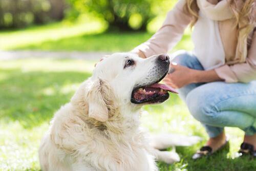 kvinde nusser med sin hund