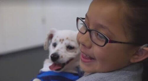 Denne hund forstår tegnsprog