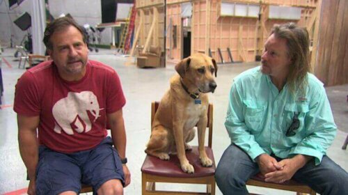 Hollywoodhunden Kato på settet