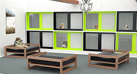 Eksempel på et godt hundehotel