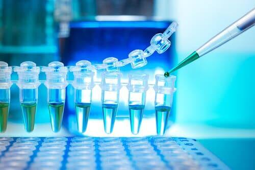 Salas' opdagelse af bakteriofag phi29 giver forskere mulighed for at amplificere endnu mindre fragmenter af DNA