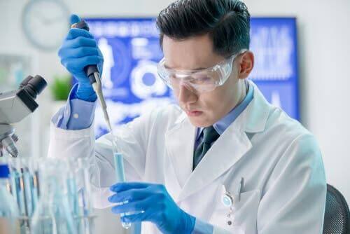 Hvad er bakteriofag phi29?