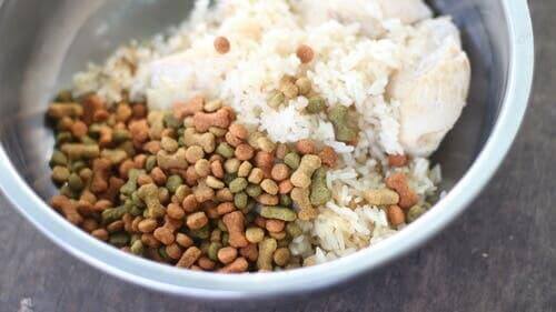 Hundeskål med ris og tørfodder