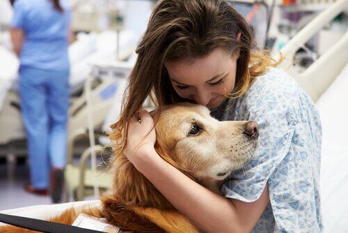 Servicehunde, der redder liv