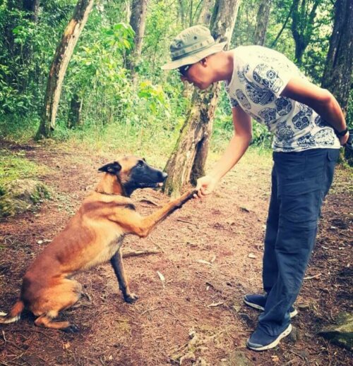 Bones er en sporhunden til forsvundne mennesker