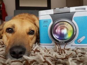 En humoristisk bog skrevet af en hund