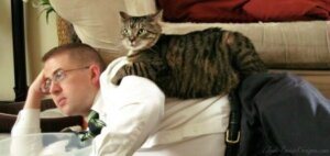 Tips til at styrke dit forhold til din kat