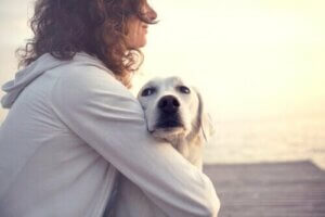 Vidste du, at hunde kan opdage diabetes?