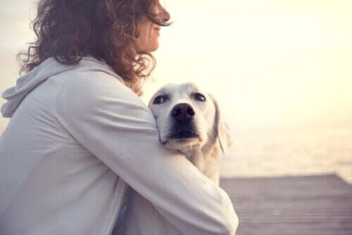 Vidste du, at hunde kan opdage diabetes?