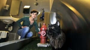 Flere og flere mennesker rejser med deres kæledyr, og derfor besluttede man i JFK lufthavn at lave et lufthavnstoilet til kæledyr