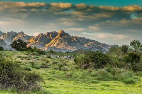 Guadarrama nationalparken