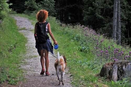 5 tips til at campere med en hund