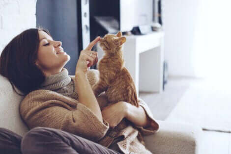 Kattens intelligens illustreres af kat, der kæler med kvinde