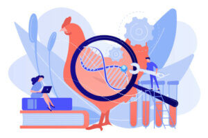 Hvad er genetisk selektion hos tamme dyr?