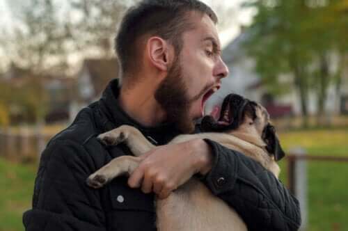 Studie om, at hunde opfatter deres ejers stress