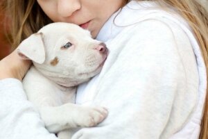Dyreassisteret terapi for børn med autisme