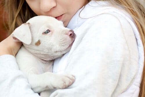 Dyreassisteret terapi for børn med autisme