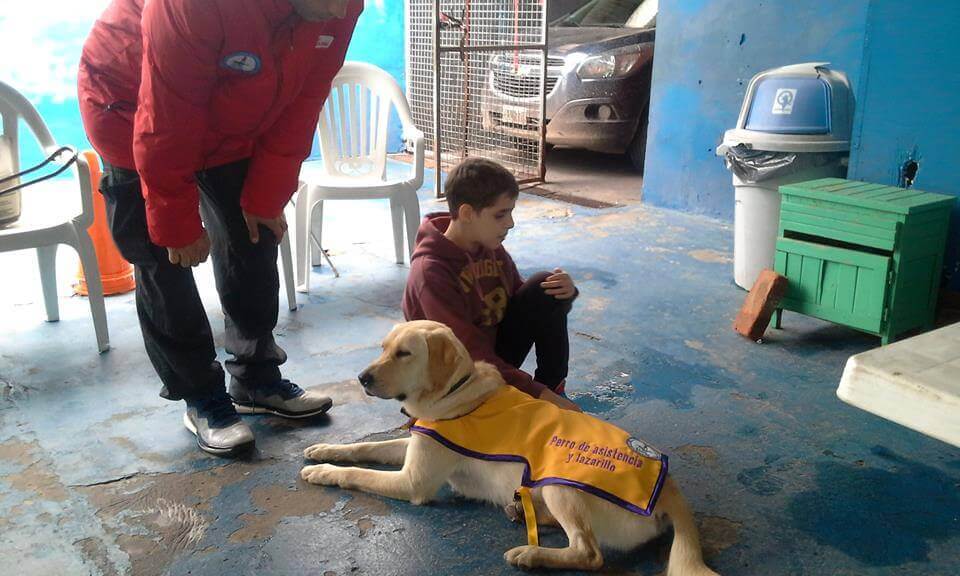 Felipe skulle først lære at kommunikere med Nala