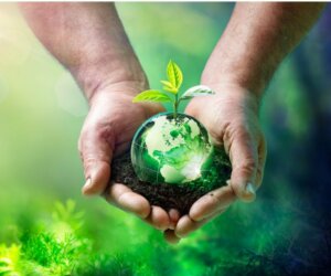 Økologisk balance: Hvad er det, og hvilke faktorer ændrer det?