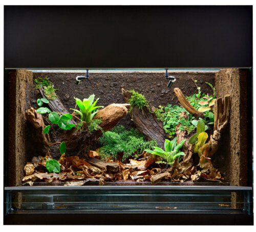 Eksempel på terrarier til spindlere