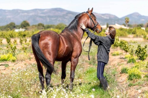 Kvinde står udenfor med en hest