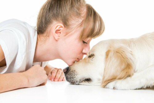 9 tips til at forlænge en hunds levetid