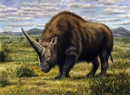 Elasmotherium